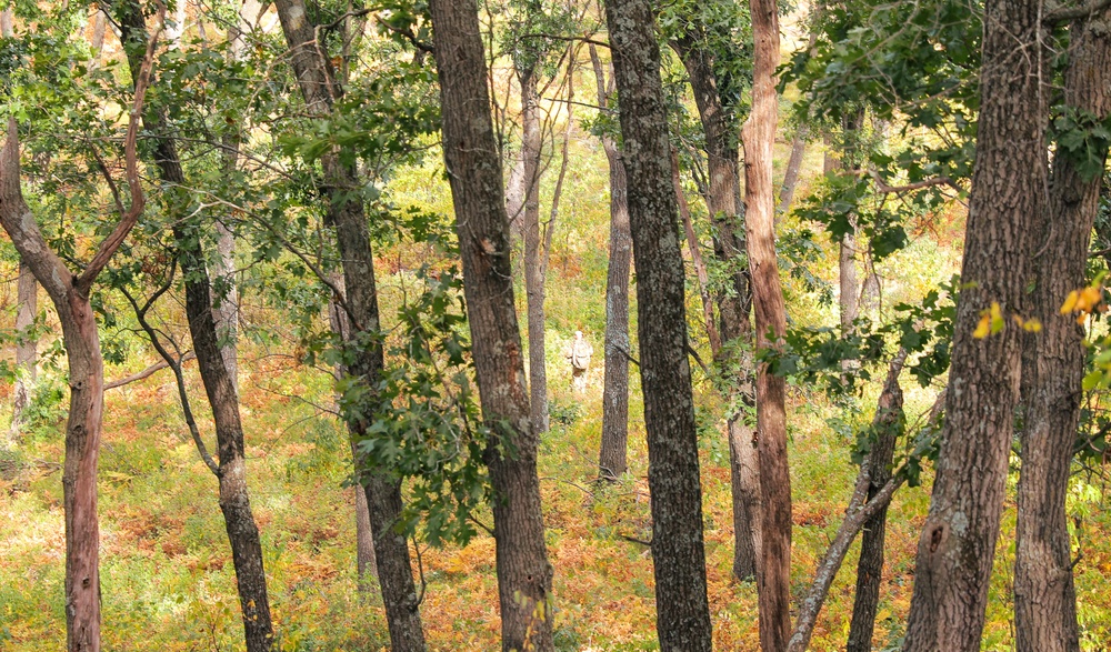 A U.S. Army Reserve Soldier walks in the woods during land navigation