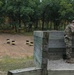 Spc. Justin Hepler practices throwing an M69 NATO practice grenade