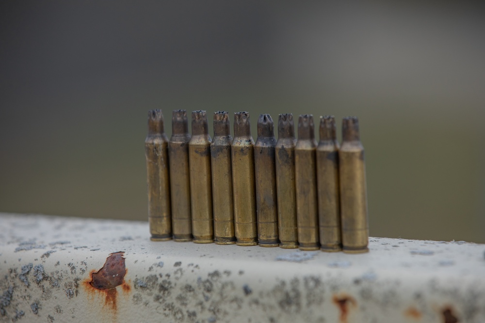 A row of blank ammunition shells stand on a rail