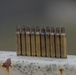 A row of blank ammunition shells stand on a rail