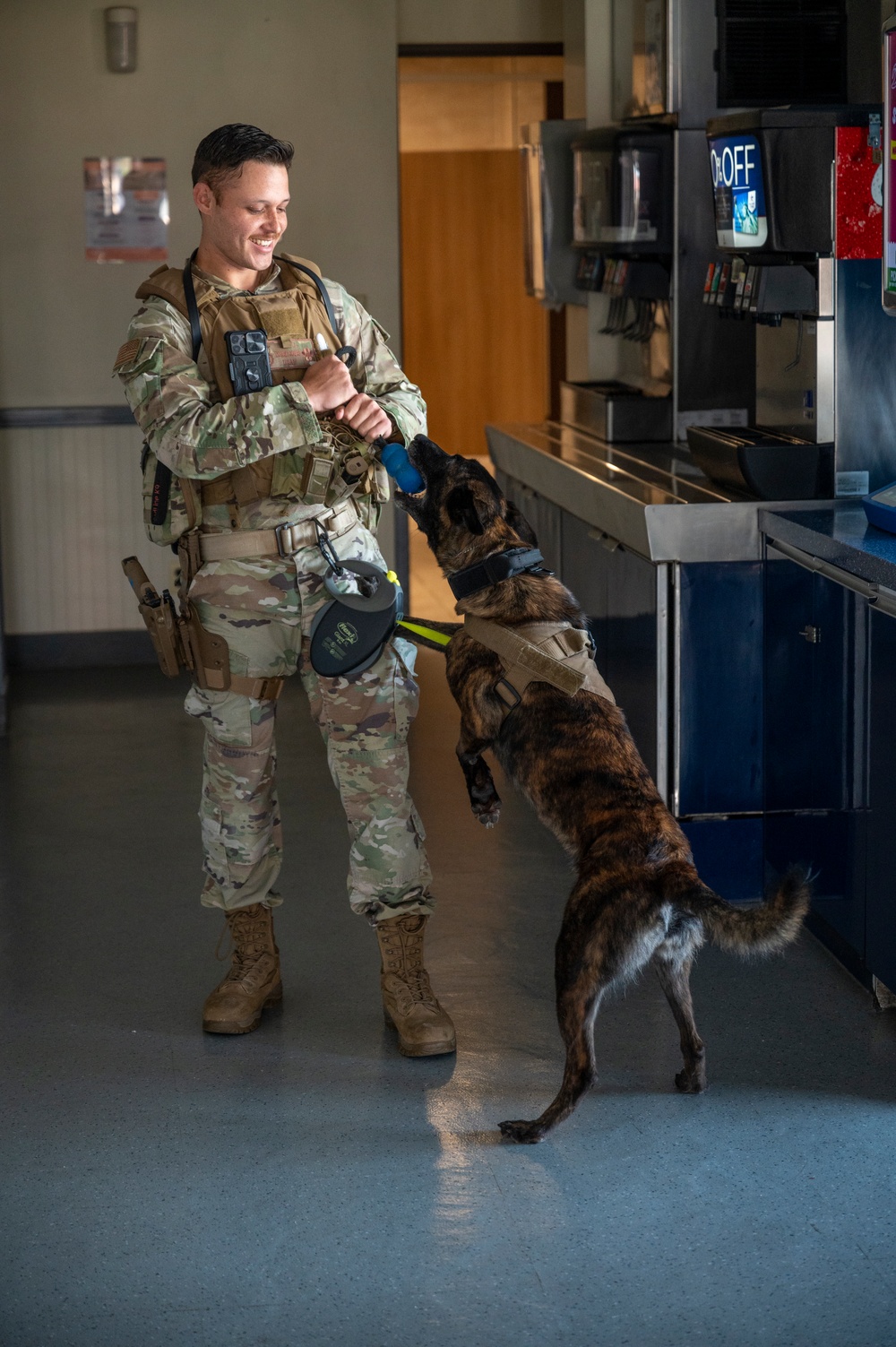 K9 teams conduct detection training