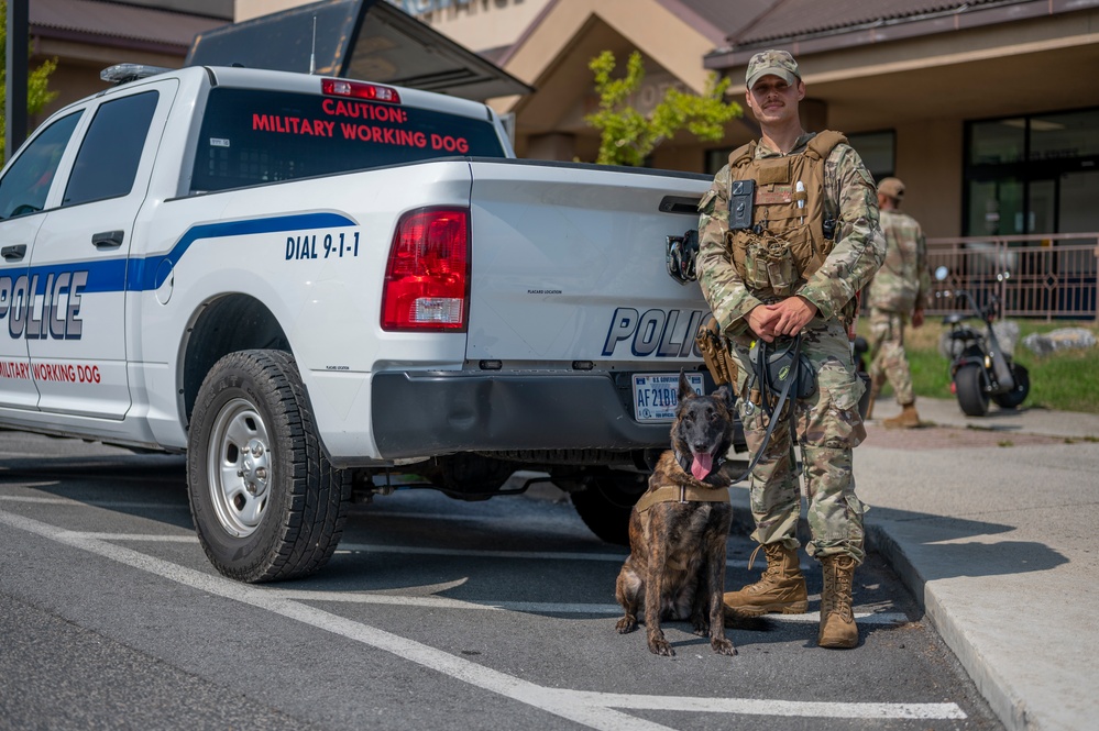 K9 teams conduct detection training