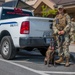 K9 teams conduct detection training