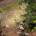 Marine Raiders conduct rappel training