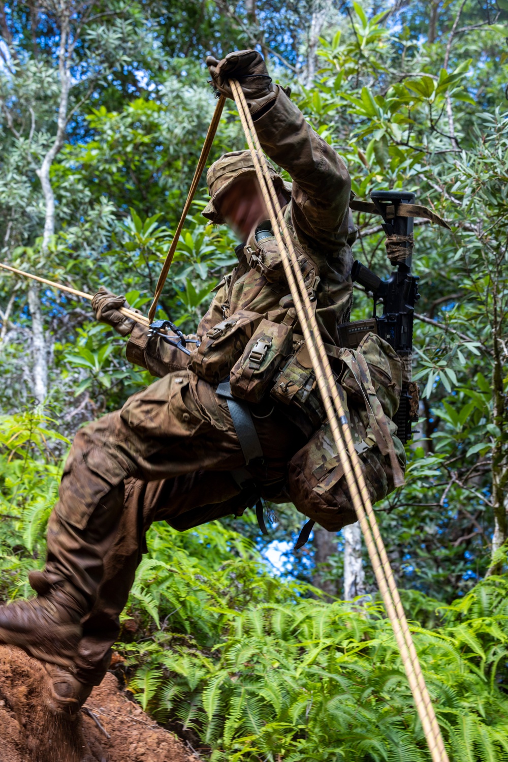 Marine Raiders conduct jungle movement training