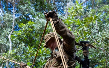 Marine Raiders conduct jungle movement training