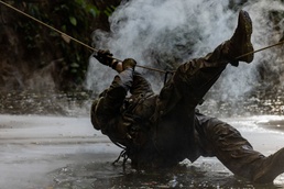 Marine Raiders conduct jungle movement training