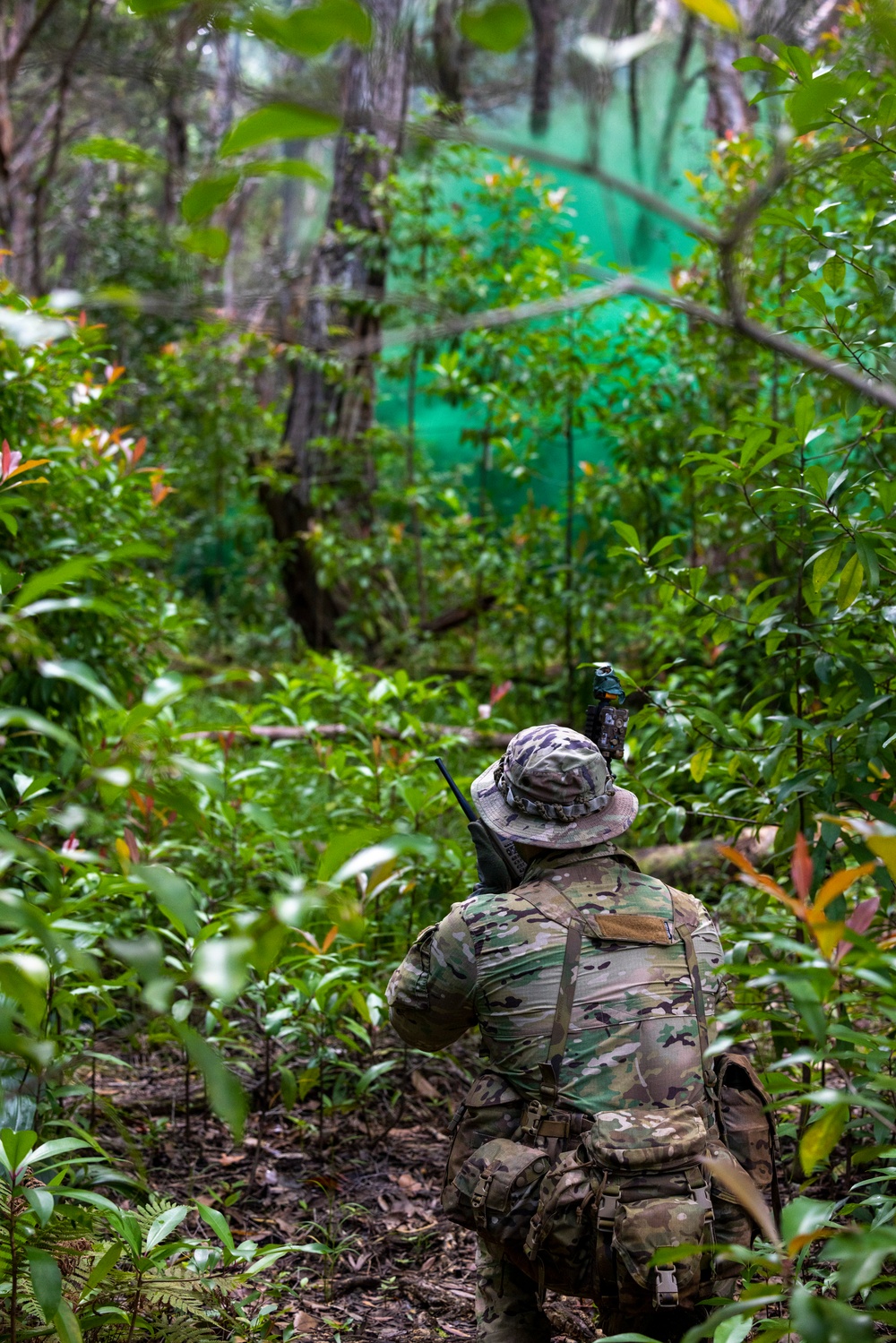 Marine Raiders conduct tracking training