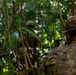 Marine Raiders conduct point man and cover shoot drills