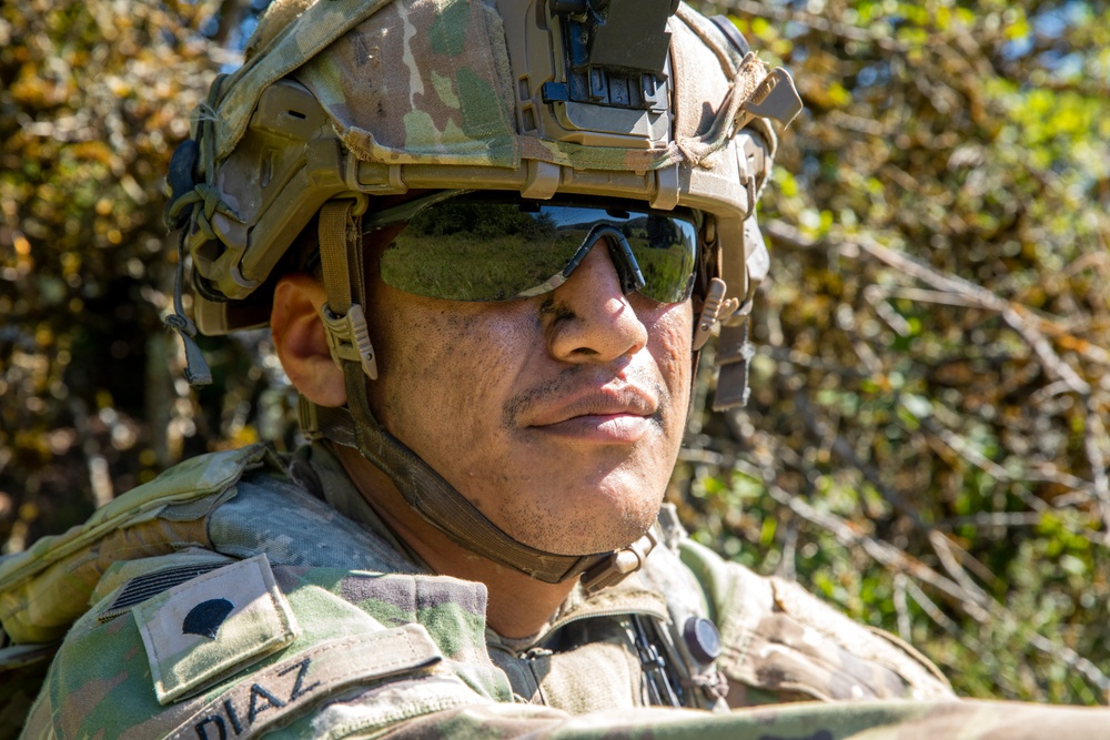 2nd Cavalry Regiment prepares for fire