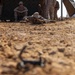 Marines with 3rd Assault Amphibian Bn., 4th Combat Engineer Bn. instruct Egyptian service members on counter improvised explosive device tactics.