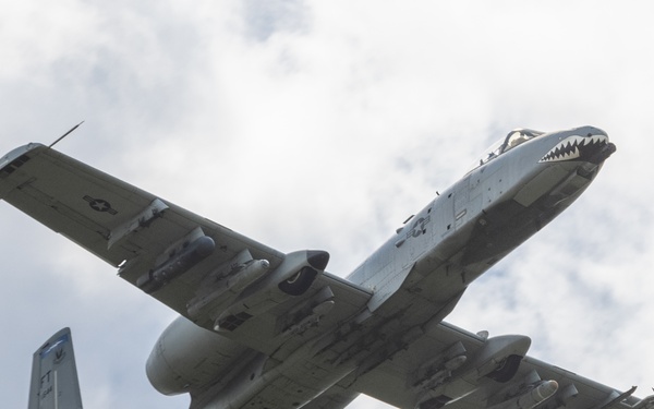 2nd ANGLICO conducts CAS training at TBR