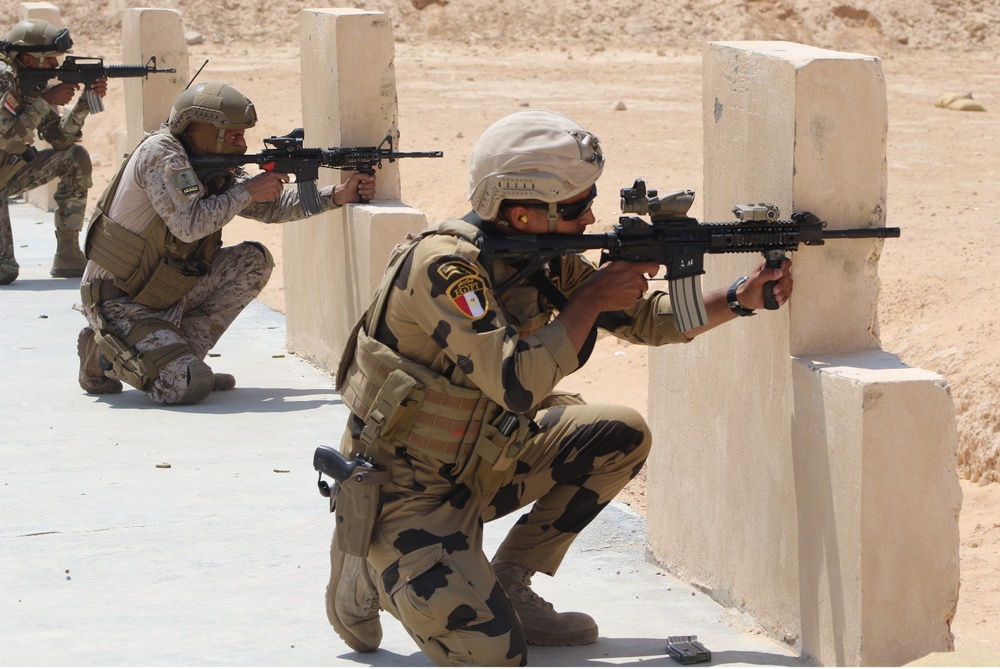 CENTCOM Regional Partners On Target In Egypt