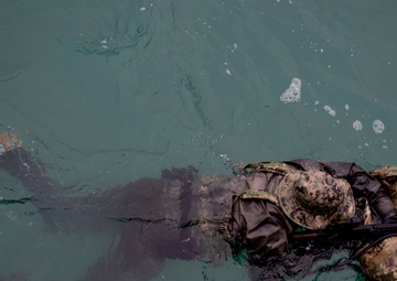 Operation Polar Dagger