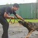 A K9 Demonstrates Skill at the Palau Narcotics Enforcement Agency