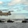 Operation Safe Harbor Operation Safe Harbor