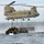 Operation Safe Harbor Operation Safe Harbor