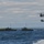 Operation Safe Harbor Operation Safe Harbor
