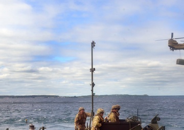 Operation Safe Harbor