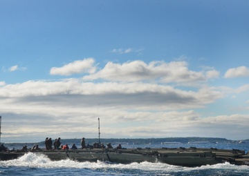 Operation Safe Harbor