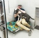 55th Cyber Squadron makes ‘paws’-itive impact in Omaha