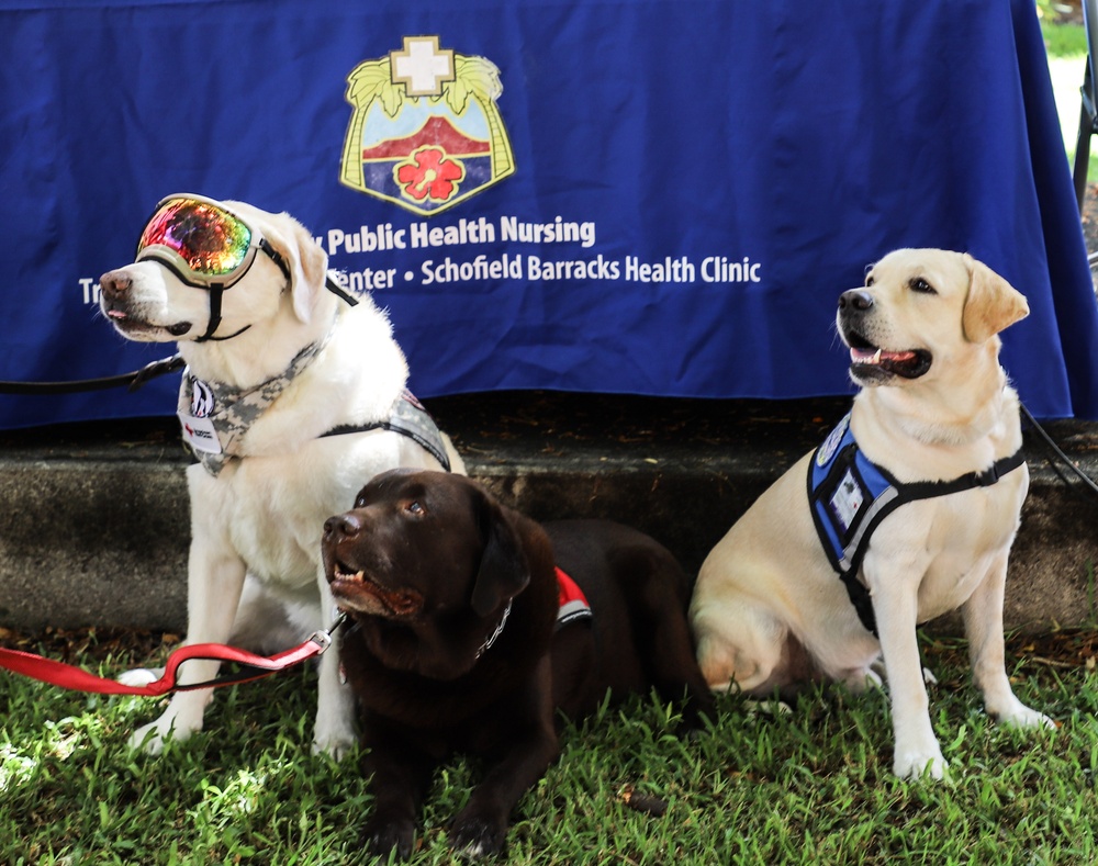 Tripler Army Medical Center “Health is Wealth” Fair
