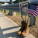Bridge over SR 36 named for Gold Star Families
