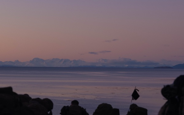 1st Bn., 4th Marines conducts live-fire range, builds survival shelters with Chilean naval infantry