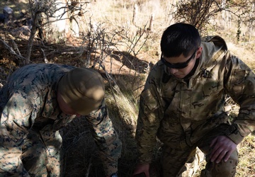 1st Bn., 4th Marines conducts live-fire range, builds survival shelters with Chilean naval infantry