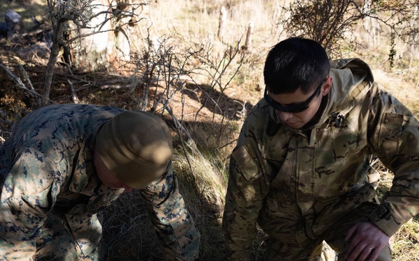 1st Bn., 4th Marines conducts live-fire range, builds survival shelters with Chilean naval infantry