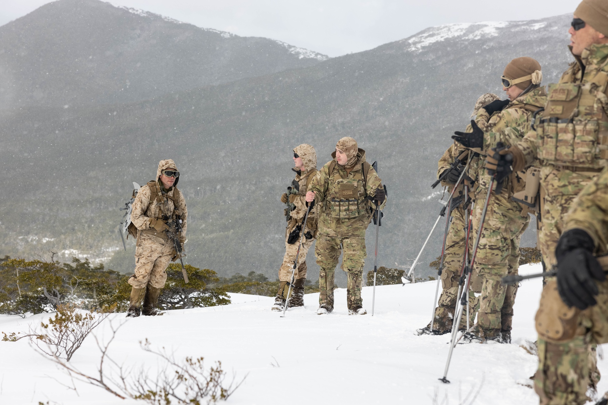 army oversnow pants