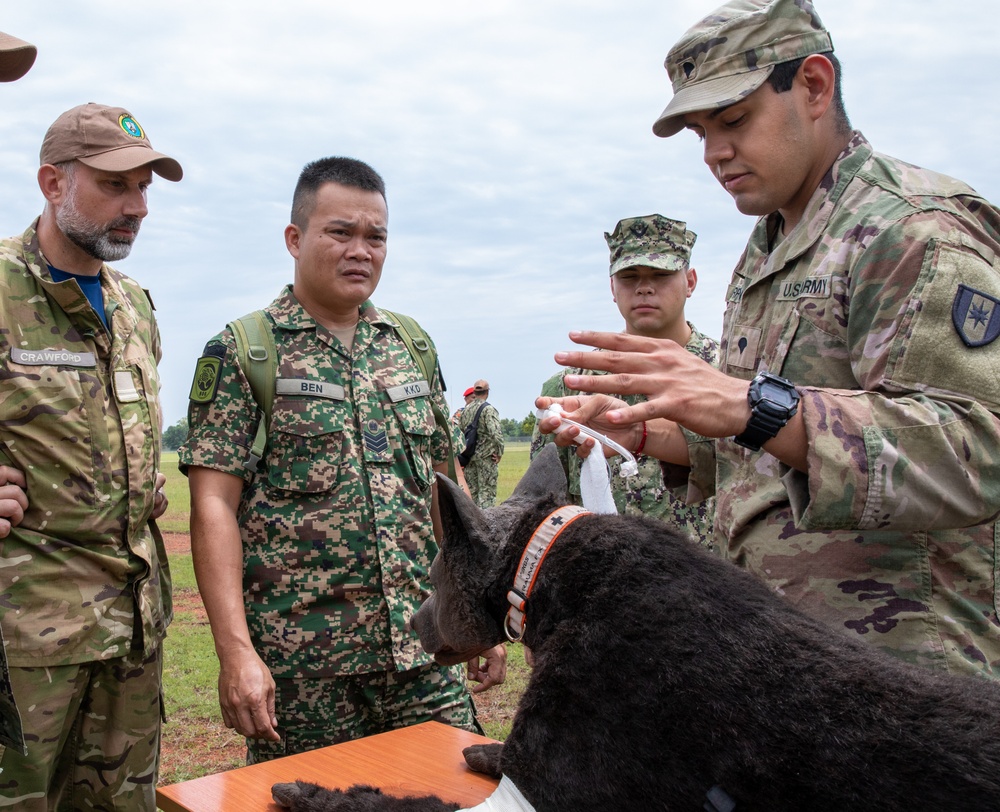 Pacific Partnership 2023: K-9 Medical Care Training