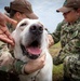 Pacific Partnership 2023: K9 Medical Care Training