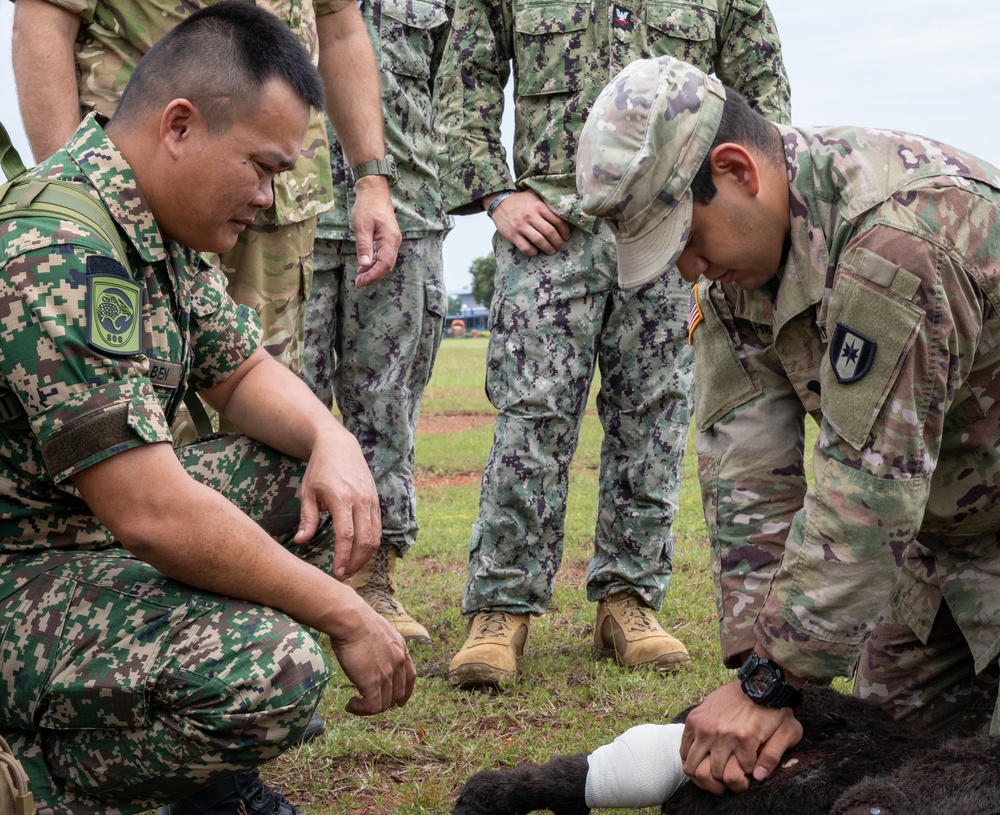 Pacific Partnership 2023: K-9 Medical Care Training
