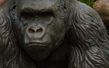 Let the wild rumpus start! 137th SOW Airmen escape to zoo after dark