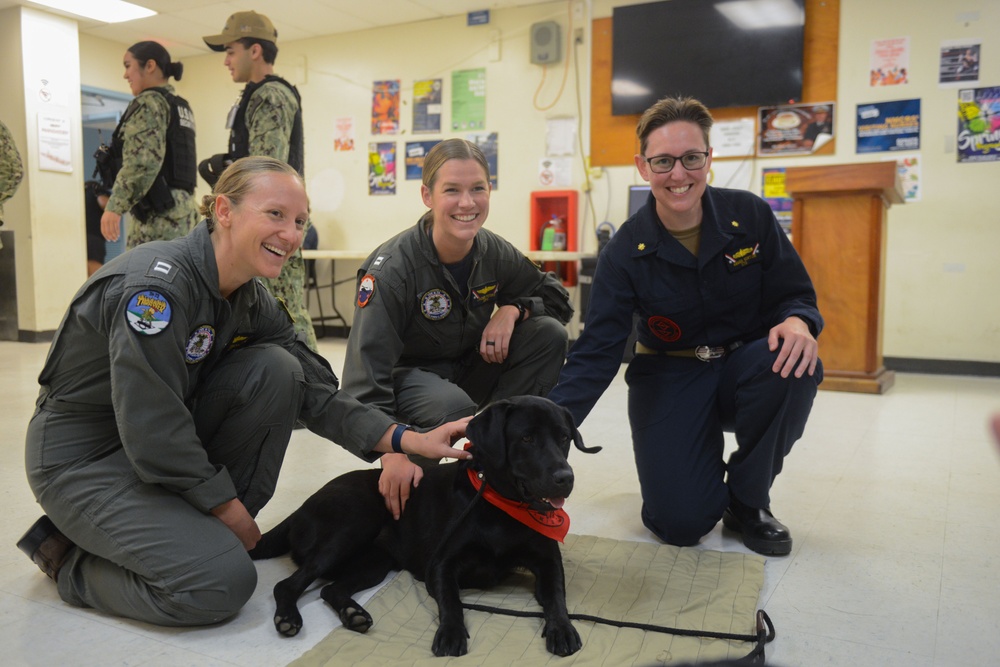 USS John C. Stennis Mutts with a Mission