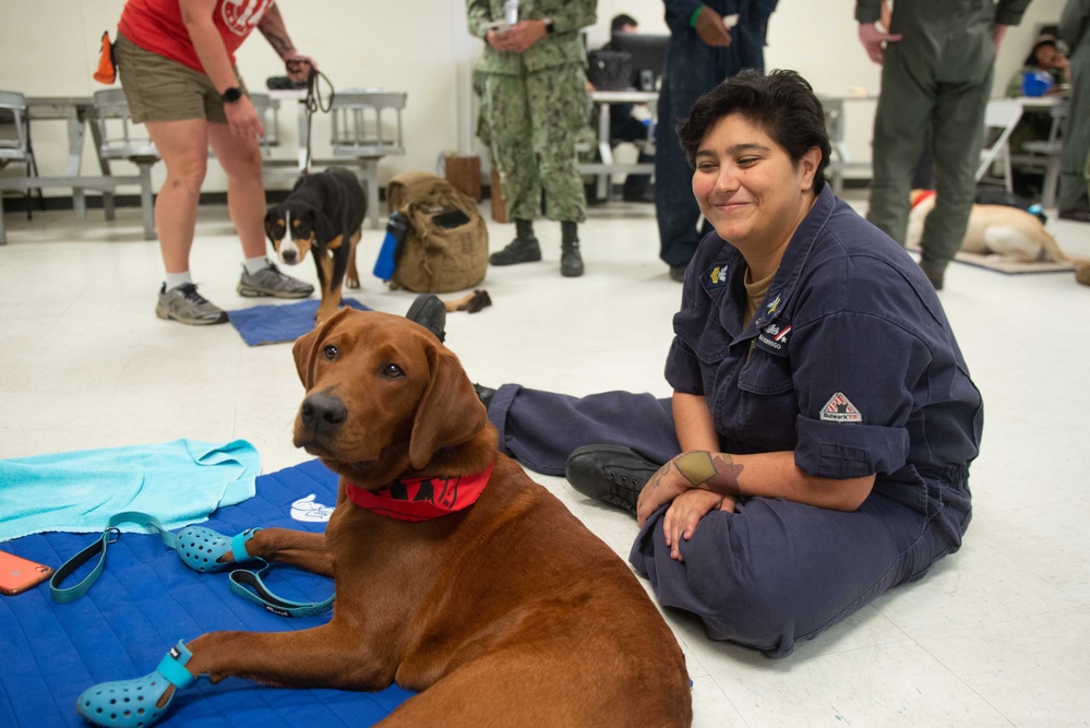 USS John C. Stennis Mutts with a Mission