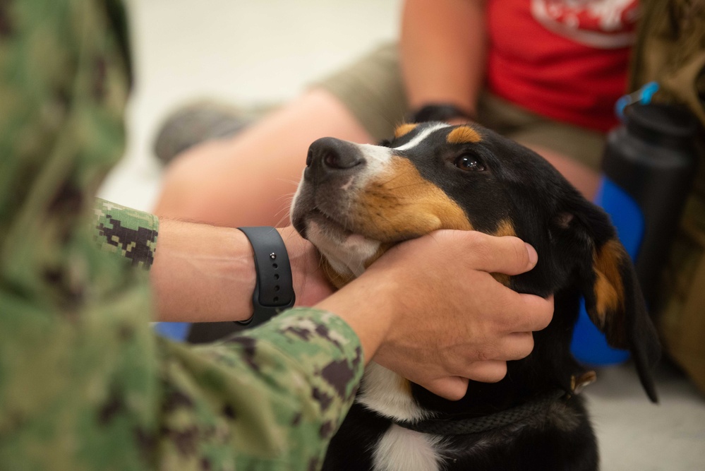 USS John C. Stennis Mutts with a Mission