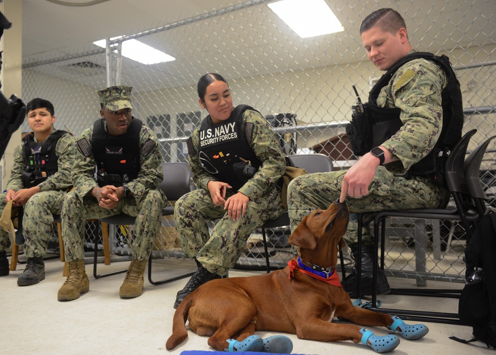 USS John C. Stennis Mutts with a Mission