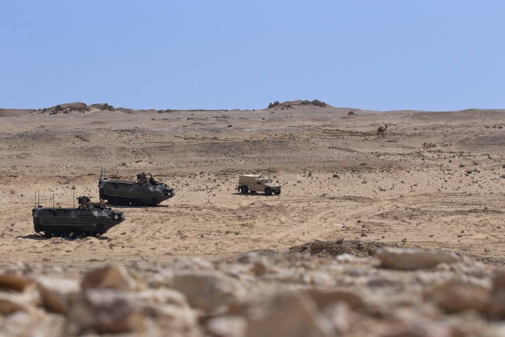 CENTCOM and Partner Nations Participate in Joint CALFEX at Bright Star 2023