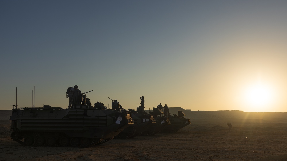 Marines with 3rd Assault Amphibian Bn. zero their weapons.