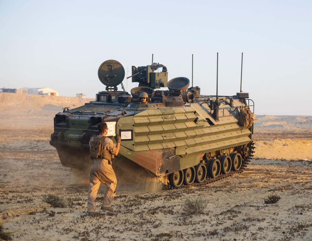 Marines with 3rd Assault Amphibian Bn. zero their weapons.