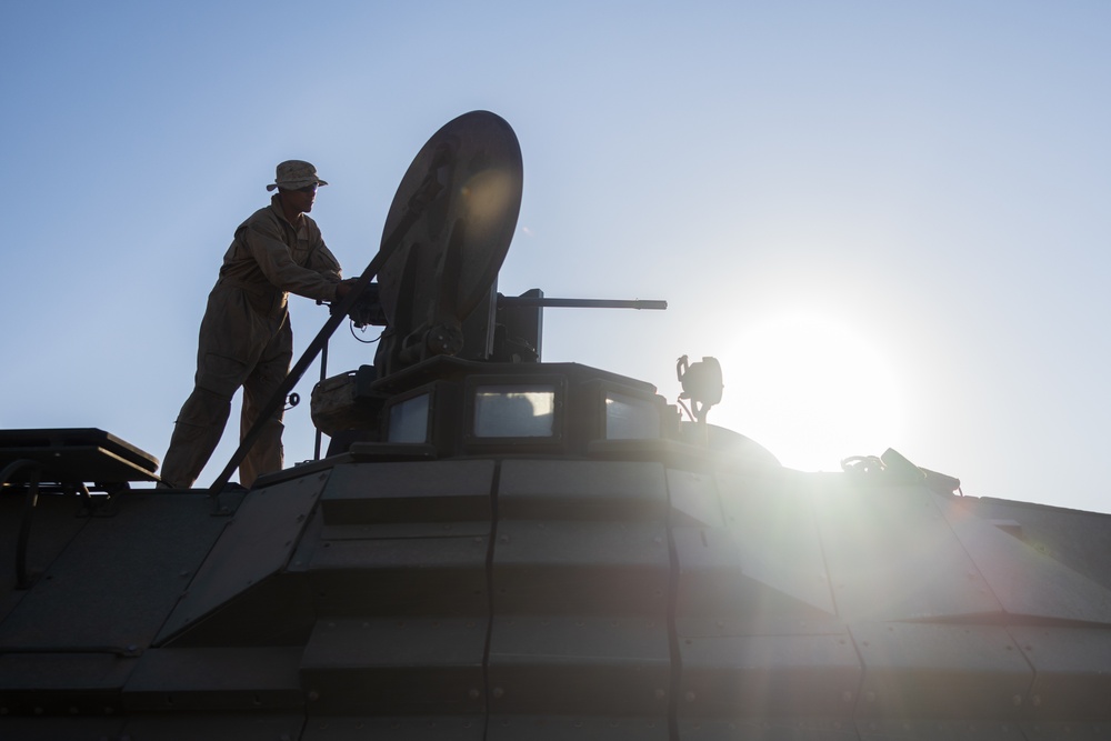 Marines with 3rd Assault Amphibian Bn. zero their weapons.