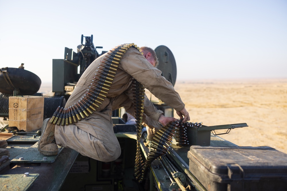 Marines with 3rd Assault Amphibian Bn. zero their weapons.