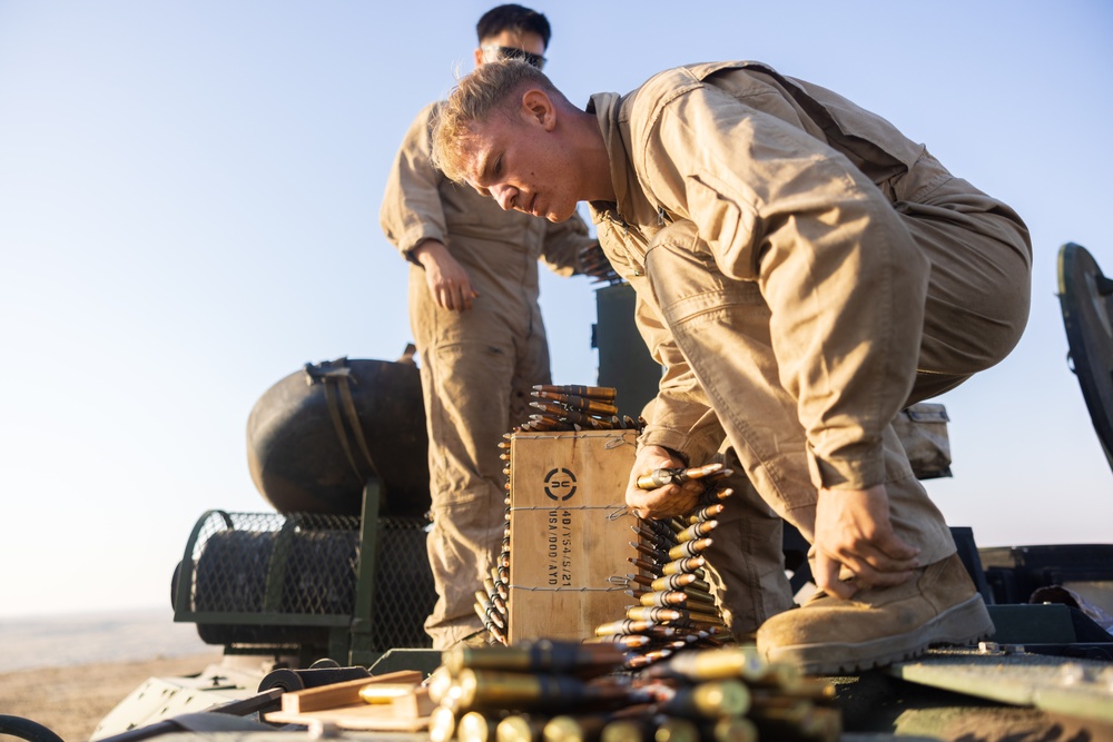 Marines with 3rd Assault Amphibian Bn. zero their weapons.