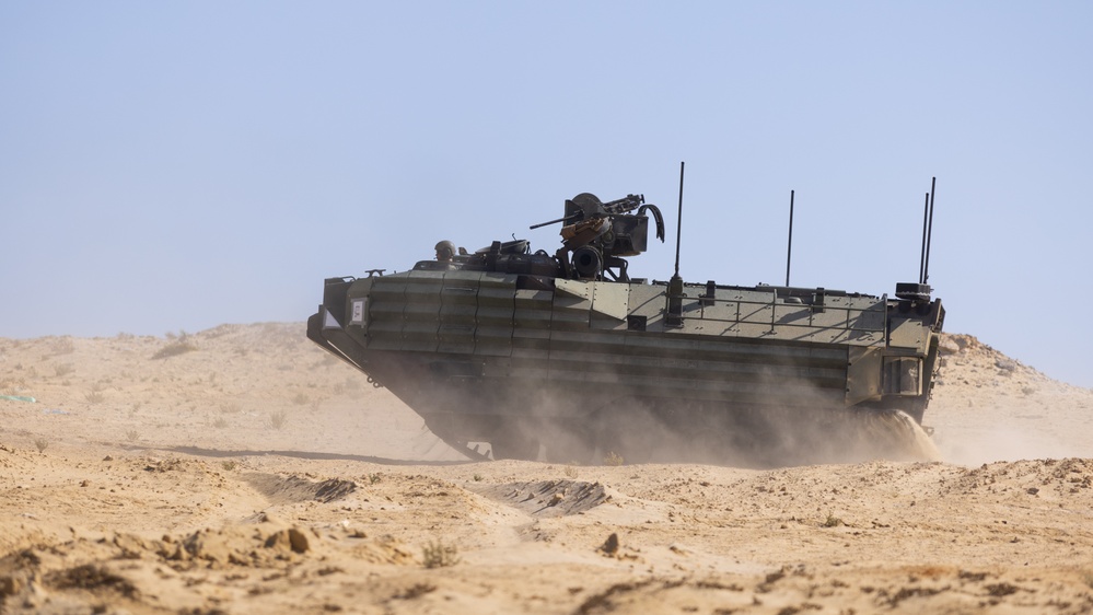 Marines with 3rd Assault Amphibian Bn. zero their weapons.