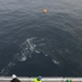 U.S. Coast Guard Cutter Healy conducts science missions