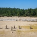 New Hampshire National Guard Adjutant General’s 2023 Combat Marksmanship Match