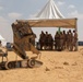 Explosive Ordinance Detonation robot demonstrates its capabilities