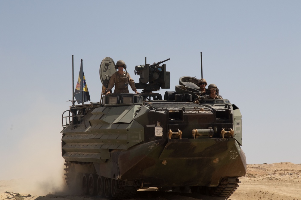 U.S. Marines prepare their assault amphibious vehicles for a maneuver rehearsal in preparation for a combined live fire exercise in support of exercise Bright Star 2023